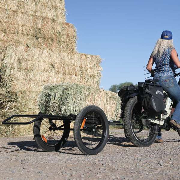 BAKCOU Folding Deer eBike Trailer | MunroPowersports.com