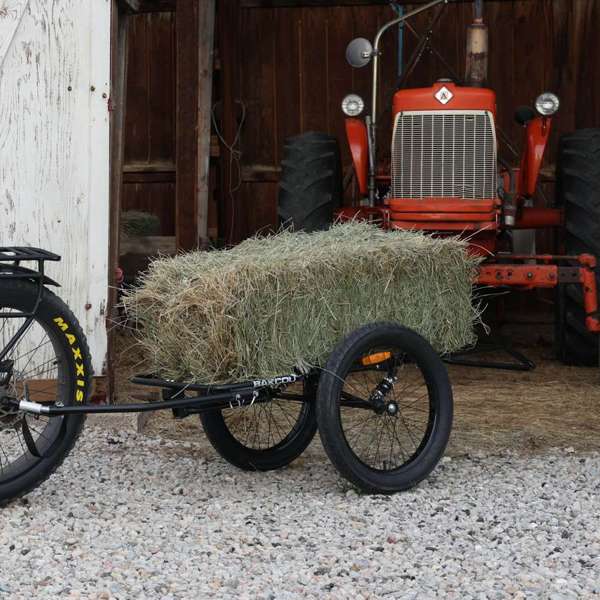 BAKCOU Folding Deer eBike Trailer | MunroPowersports.com