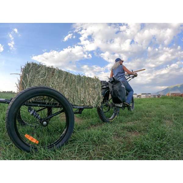 BAKCOU Folding Deer eBike Trailer | MunroPowersports.com