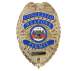 Rothco Deluxe "Concealed Weapons Permit" Badge