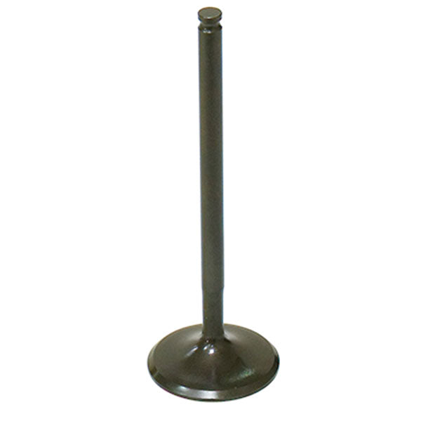 PSYCHIC INTAKE VALVE (XU-09545I)