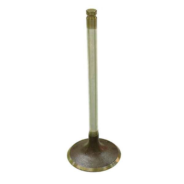 PSYCHIC INTAKE VALVE (XU-09544I)