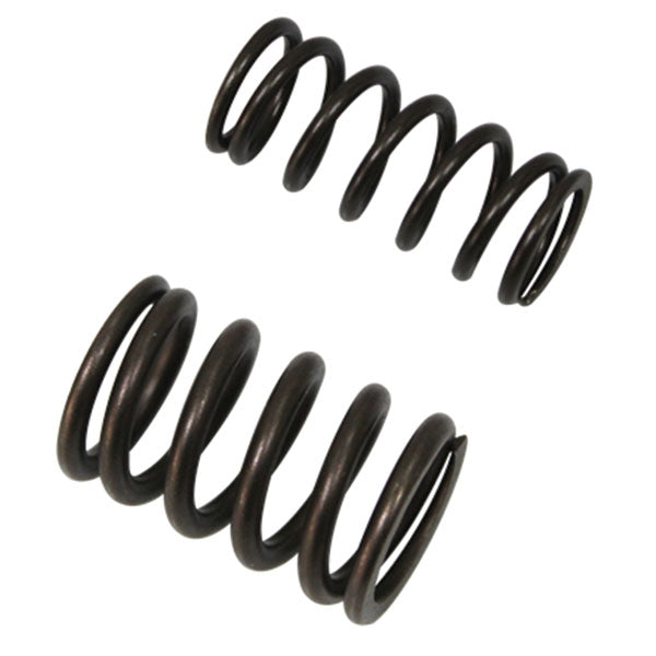 PSYCHIC INTAKE VALVE SPRING (XU-09503IS)