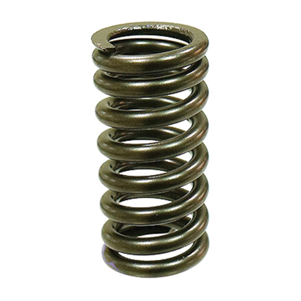 PSYCHIC INTAKE VALVE SPRING (XU-09545IS)