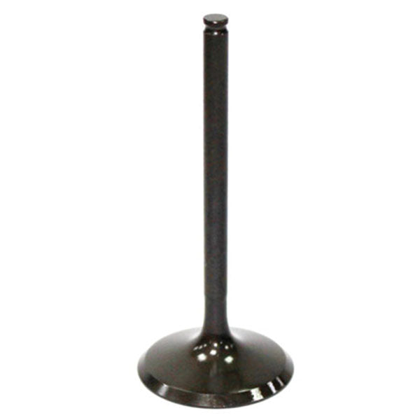 PSYCHIC INTAKE VALVE (XU-09536I)