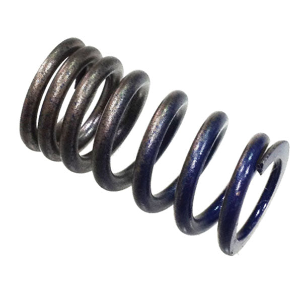 PSYCHIC INTAKE VALVE SPRING (XU-09509IS)