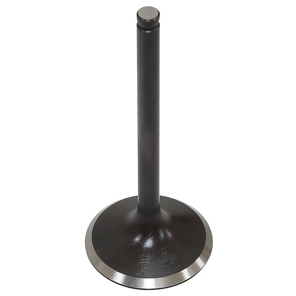 PSYCHIC EXHAUST VALVE (XU-09563E)