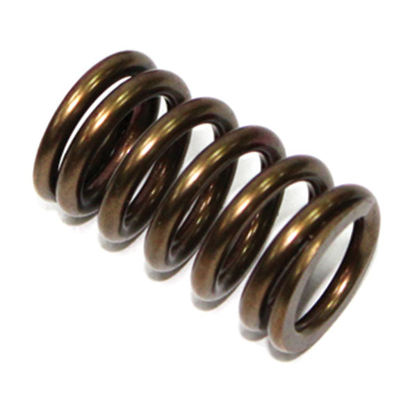 PSYCHIC EXHAUST VALVE SPRING (XU-09528ES)