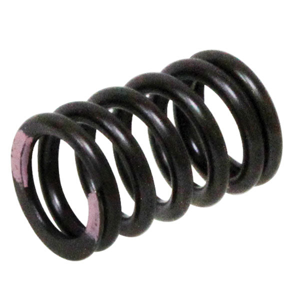 PSYCHIC INTAKE VALVE SPRING (XU-09539IS)