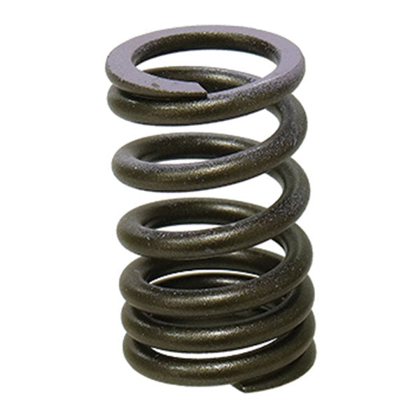 PSYCHIC INTAKE VALVE SPRING (XU-09552IS)