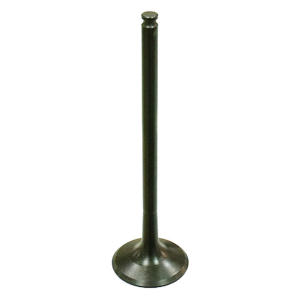 PSYCHIC EXHAUST VALVE (XU-09550E)