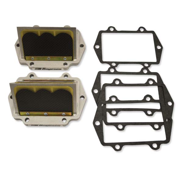 Boyesen Snowmobile Rage Cage (Rad51A-2) | MunroPowersports.com