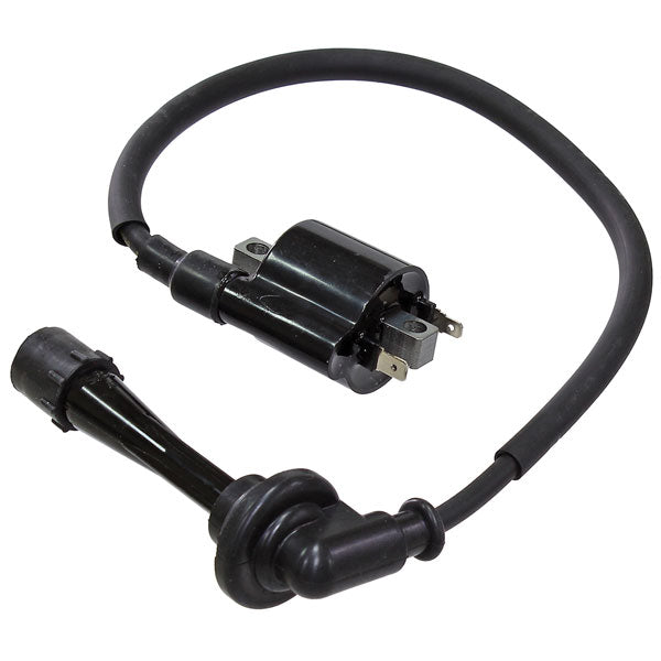 Bronco Atv Ignition Coil (At-01698) | MunroPowersports.com