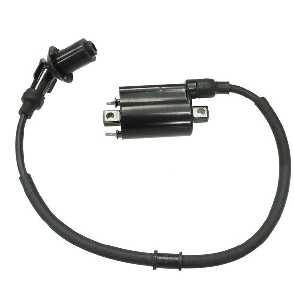 Bronco Ignition Coil (At-01691) | MunroPowersports.com