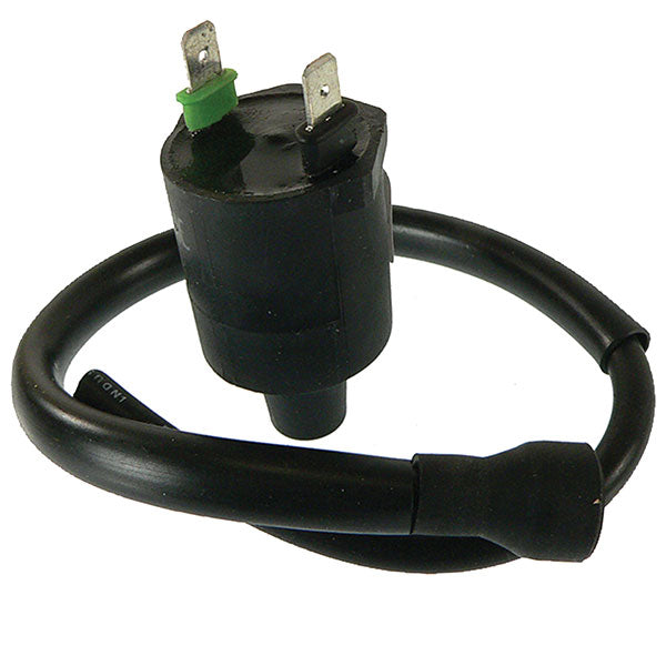 Arrowhead Ignition Coil (160-01020) | MunroPowersports.com