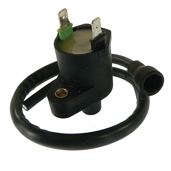 Arrowhead Ignition Coil (160-01021) | MunroPowersports.com