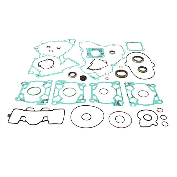 VERTEX GASKET SET & OIL SEALS (8110009)