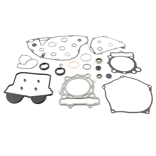 VERTEX GASKET SET & OIL SEALS (811984)