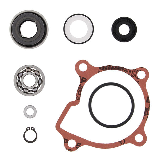 VERTEX WATER PUMP REBUILD KIT (821865)