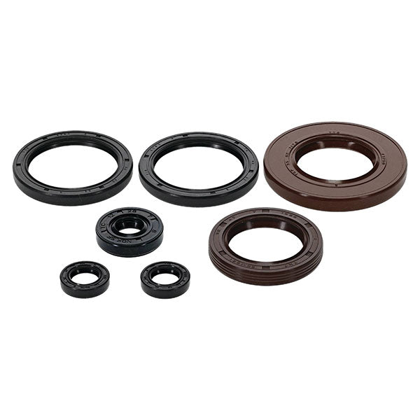 VERTEX TOP END GASKET SET (822401)