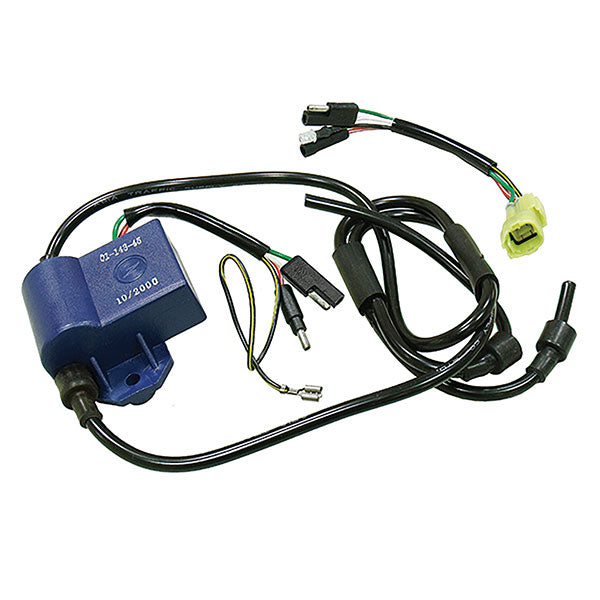 SPX CDI IGNITION BOX (01-143-45)