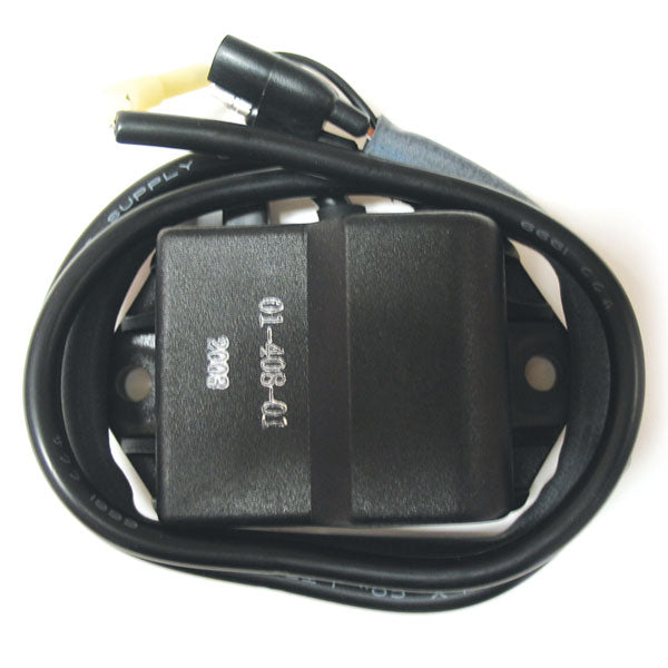 SPX CDI IGNITION BOX (01-408-01)