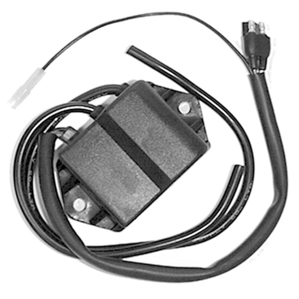 SPX CDI IGNITION BOX (01-404)