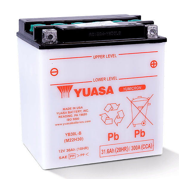 YUASA SERIES BATTERY (YUAM22H30)