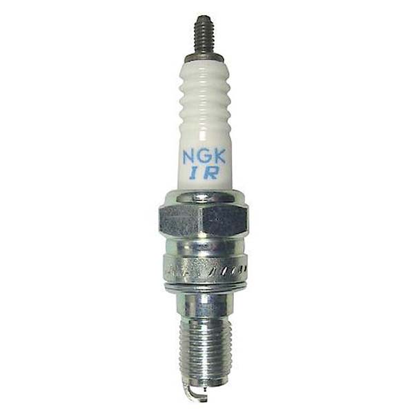 NGK SPARK PLUG (3653)